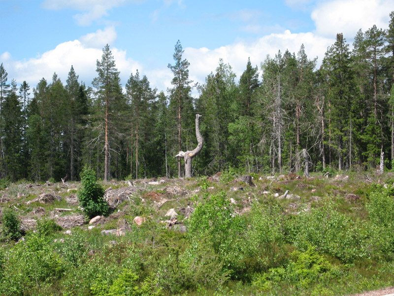 2007_nordkap_012